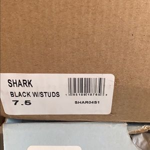 Steve Madden shark sneaker